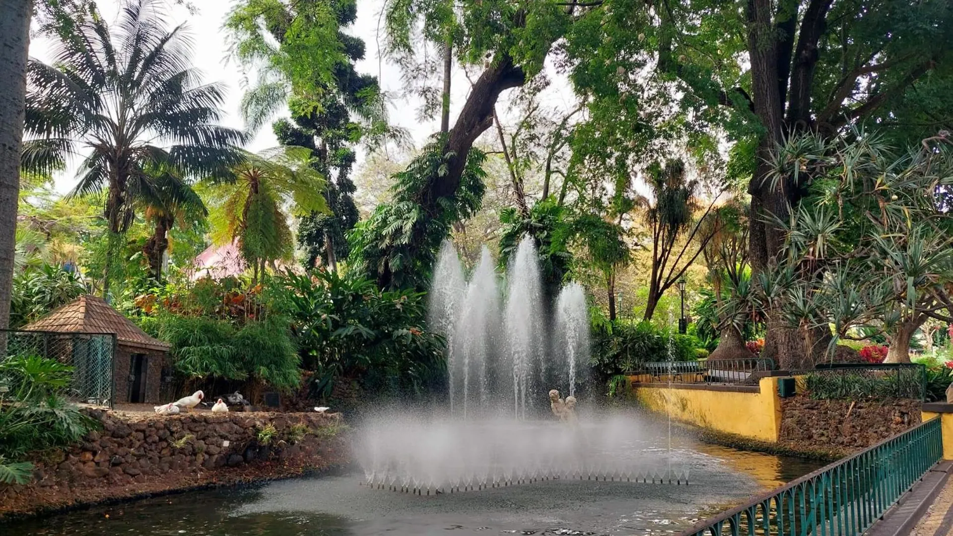 Apartamento Vista Pontinha Funchal  Portugal